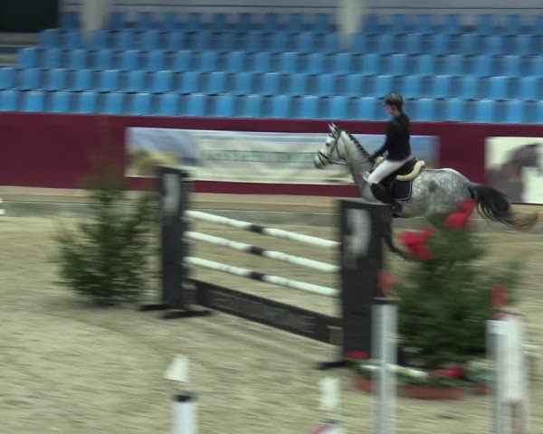 Reitturnier Neustadt/Dosse - Graf von Lindenau-Halle 2024