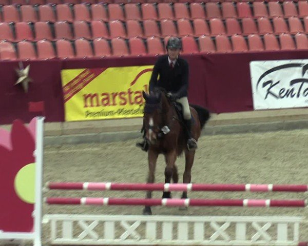 Reitturnier Neustadt/Dosse - Graf von Lindenau-Halle 2024