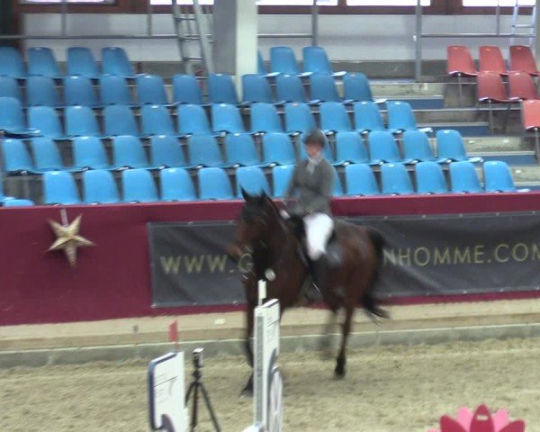 Reitturnier Neustadt/Dosse - Graf von Lindenau-Halle 2024