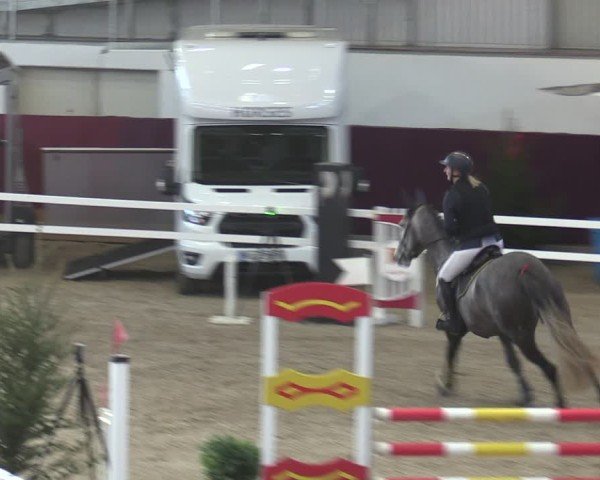 Reitturnier Neustadt/Dosse - Graf von Lindenau-Halle 2024