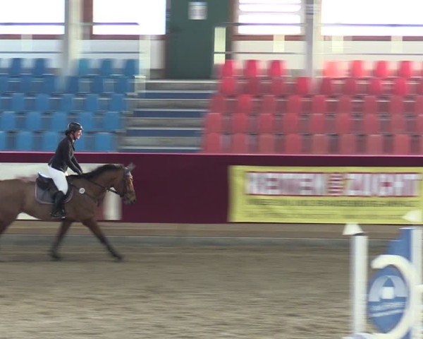 Reitturnier Neustadt/Dosse - Graf von Lindenau-Halle 2024