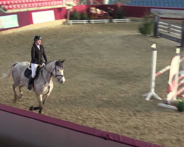 Reitturnier Neustadt/Dosse - Graf von Lindenau-Halle 2024