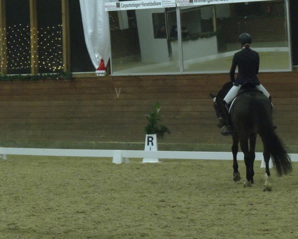 Reitturnier Coesfeld/Lette 2024