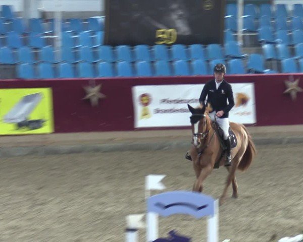 Reitturnier Neustadt/Dosse - Graf von Lindenau-Halle 2024