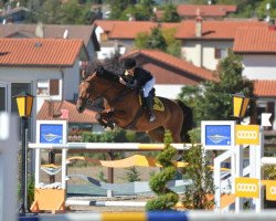 jumper Elton Chrastiny (KWPN (Royal Dutch Sporthorse), 2009, from Quick Lauro Z)