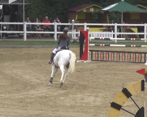 16. Wallau Classics vom 22.08. - 25.08.2013