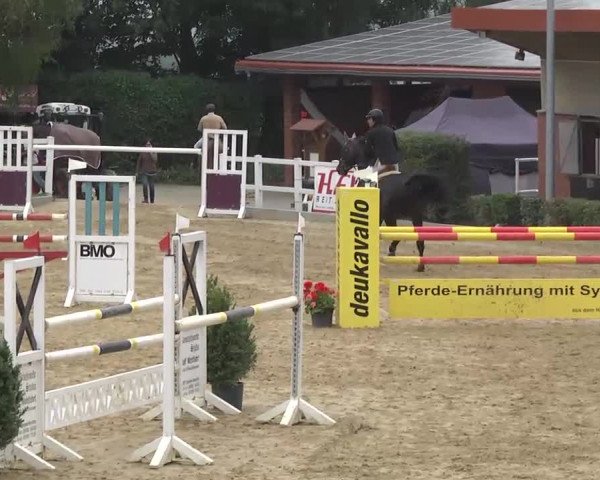 16. Wallau Classics vom 22.08. - 25.08.2013