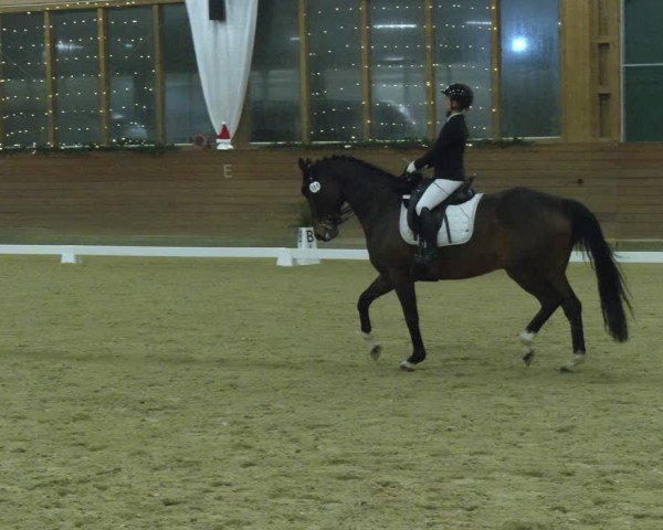 Reitturnier Coesfeld/Lette 2024