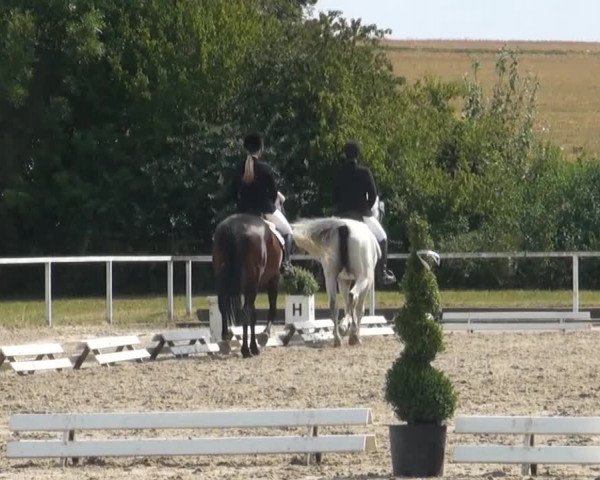 Reitturnier Menden 2013