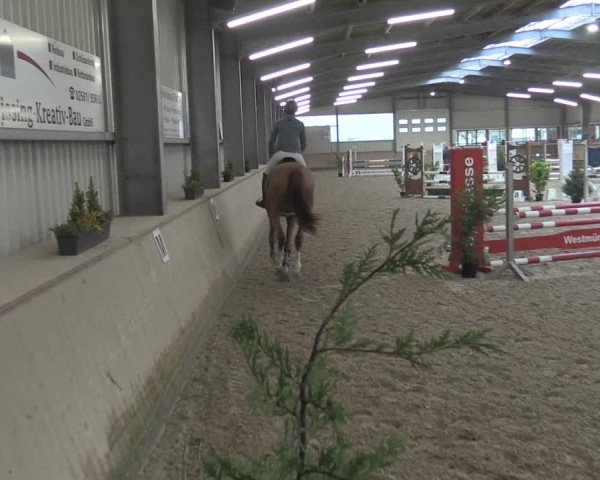 Reitturnier Ahaus 2021