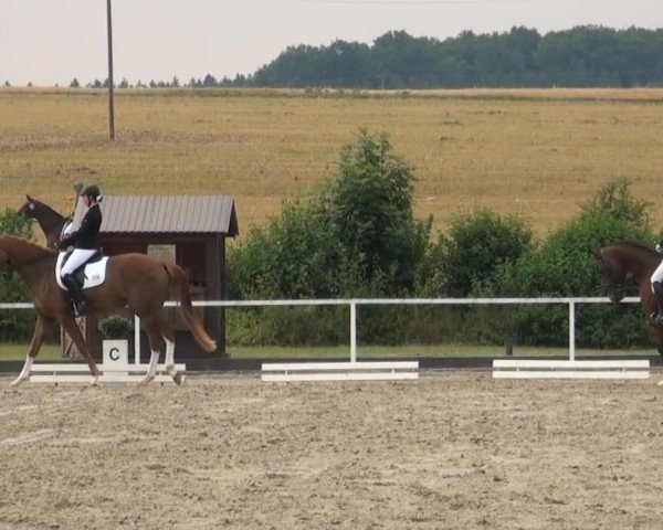 Reitturnier Menden 2013