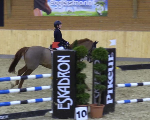 Reitturnier Paderborn 2021