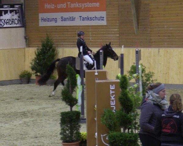 Reitturnier Paderborn 2021