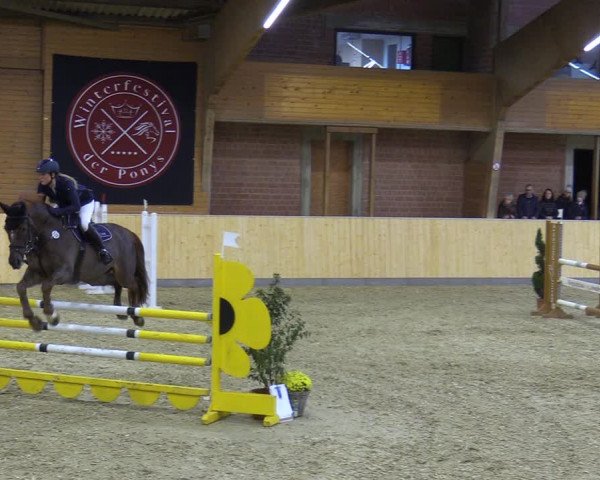 Reitturnier Paderborn 2021