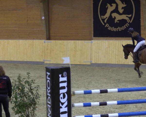Reitturnier Paderborn 2021