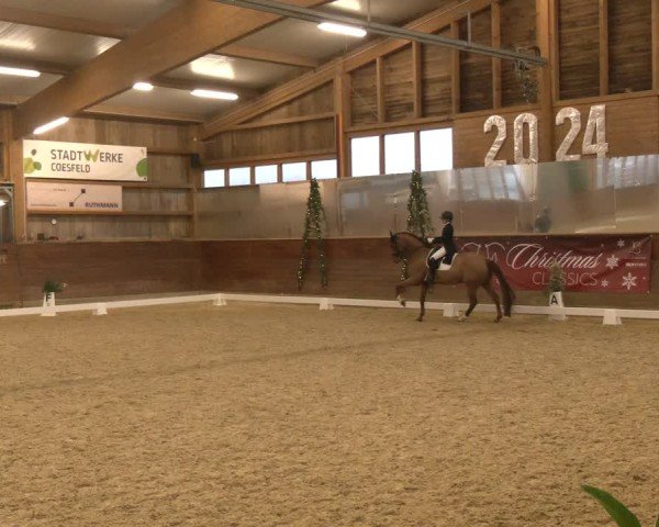 Reitturnier Coesfeld/Lette 2024