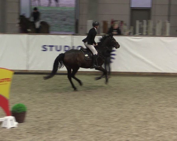 Reitturnier Prussendorf 2024