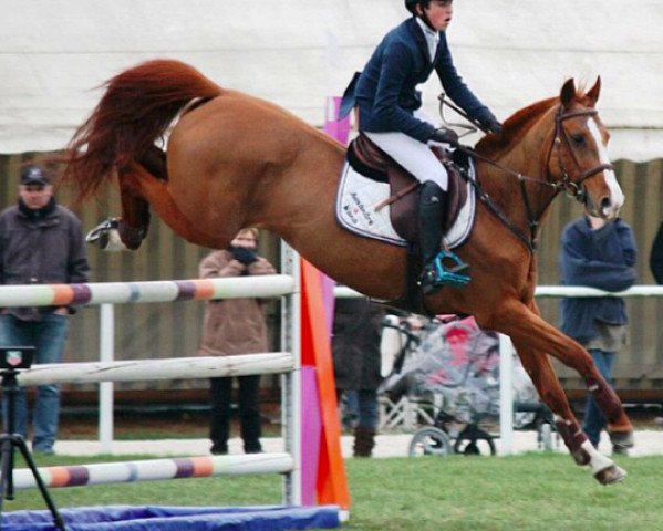 Pferd Nana de Bourgogne (Selle Français, 2001, von Carnac Del Follee)