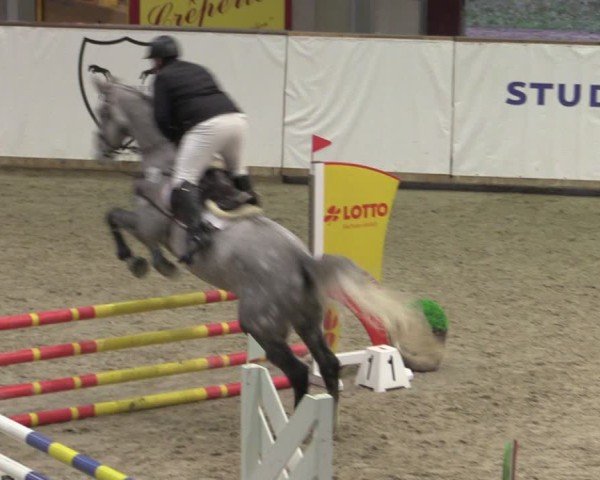 Reitturnier Prussendorf 2024