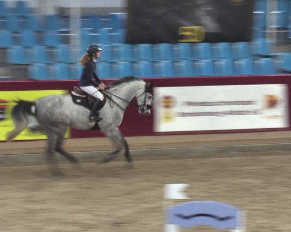 Reitturnier Neustadt/Dosse - Graf von Lindenau-Halle 2024