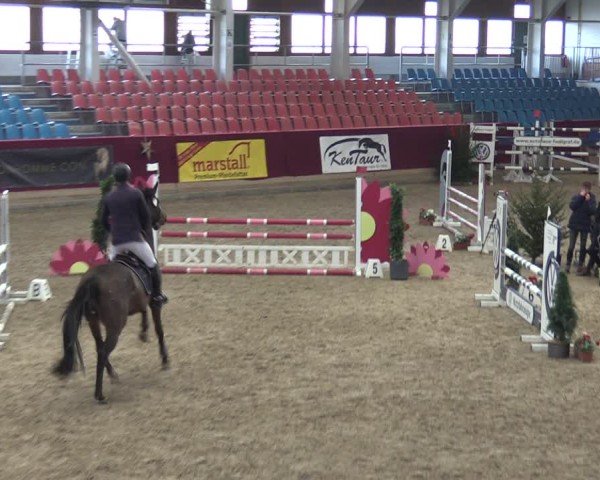 Reitturnier Neustadt/Dosse - Graf von Lindenau-Halle 2024