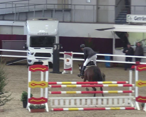 Reitturnier Neustadt/Dosse - Graf von Lindenau-Halle 2024