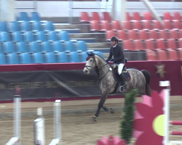 Reitturnier Neustadt/Dosse - Graf von Lindenau-Halle 2024