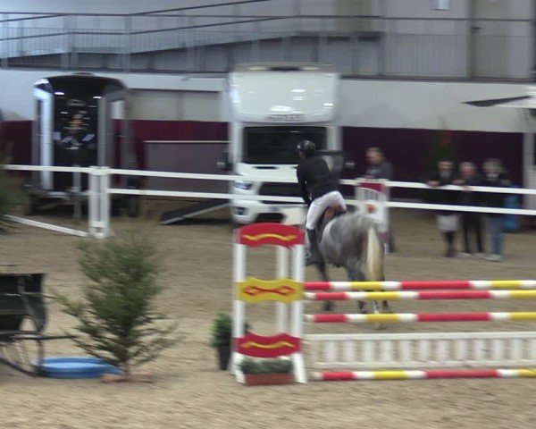 Reitturnier Neustadt/Dosse - Graf von Lindenau-Halle 2024