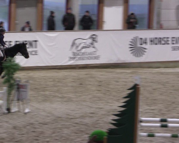Reitturnier Prussendorf 2024