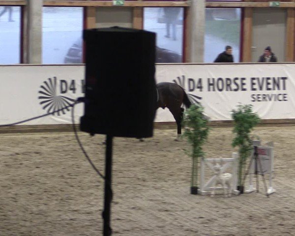 Reitturnier Prussendorf 2024