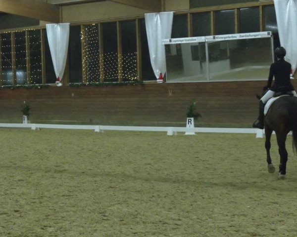 Reitturnier Coesfeld/Lette 2024