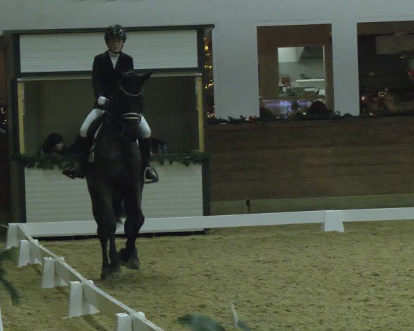 Reitturnier Coesfeld/Lette 2024