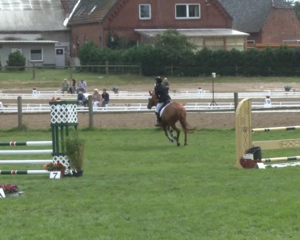 Reitsporttage an der Führser Mühle 2013