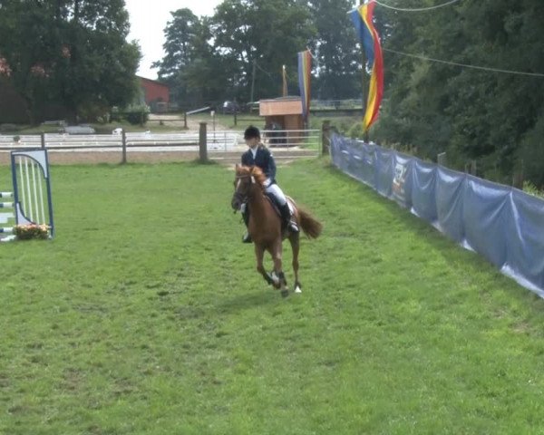 Reitsporttage an der Führser Mühle 2013