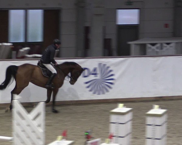 Reitturnier Prussendorf 2024