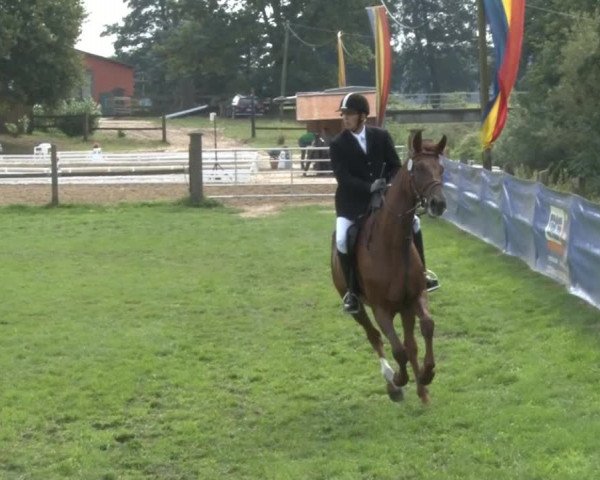 Reitsporttage an der Führser Mühle 2013