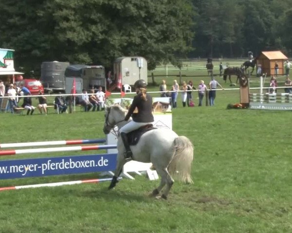 Reitsporttage an der Führser Mühle 2013