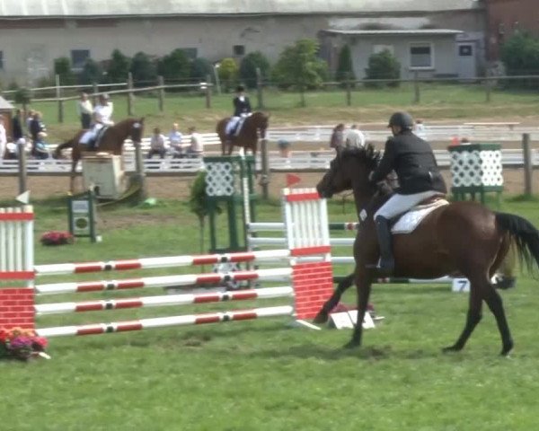 Reitturnier Nienburg 2013