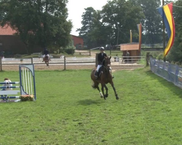 Reitsporttage an der Führser Mühle 2013