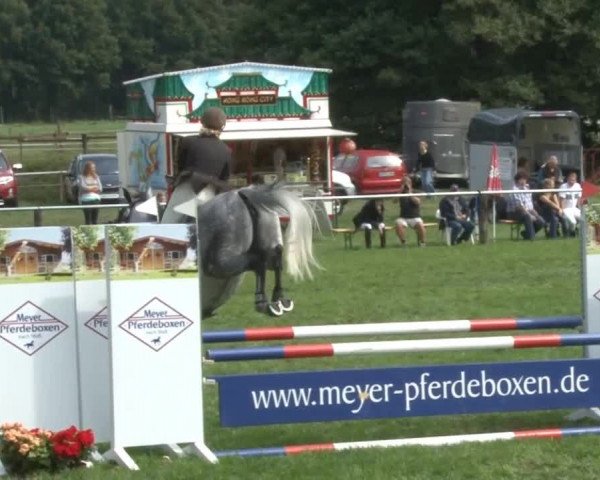 Reitsporttage an der Führser Mühle 2013