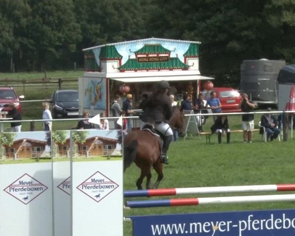 Reitturnier Nienburg 2013