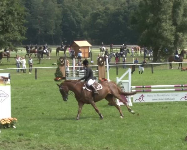 Reitsporttage an der Führser Mühle 2013