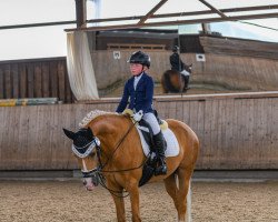 Dressurpferd Con ta bai B (Deutsches Reitpony, 2013, von Singold's Cavalin)