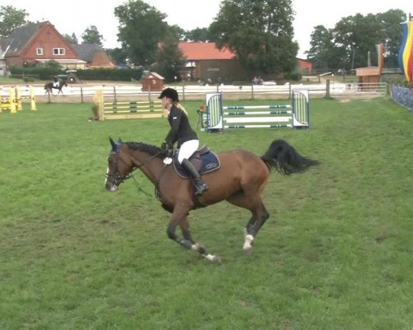 Reitturnier Nienburg 2013