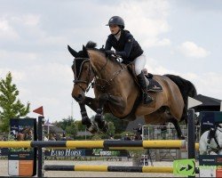 jumper Dudy Z (Zangersheide riding horse, 2016, from Douglas)