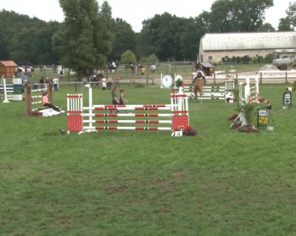 Reitsporttage an der Führser Mühle 2013