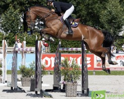 jumper Jowel (KWPN (Royal Dutch Sporthorse), 2014, from Action-Breaker)
