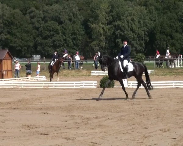 Reitsporttage an der Führser Mühle 2013
