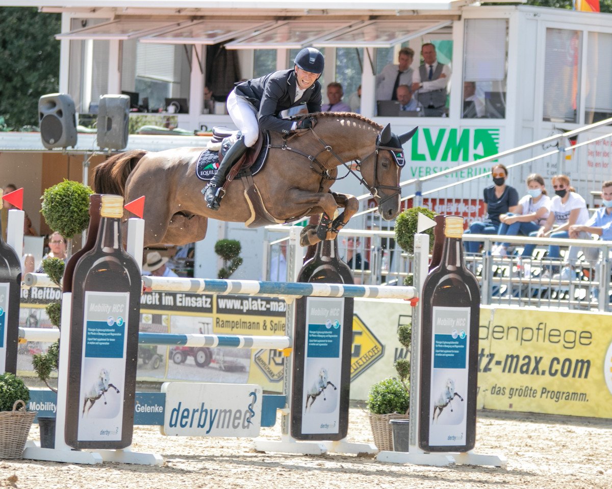 stallion Beach Boy 63 (Oldenburg show jumper, 2016, from Baloubet du Rouet)