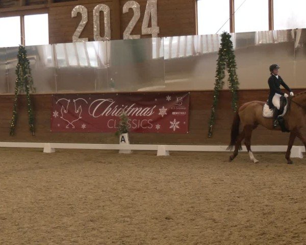 Reitturnier Coesfeld/Lette 2024